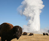 Yellwstone and grand tetons photo